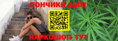 прущие крисы Гатчина