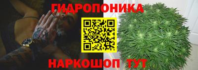 прущие крисы Гатчина